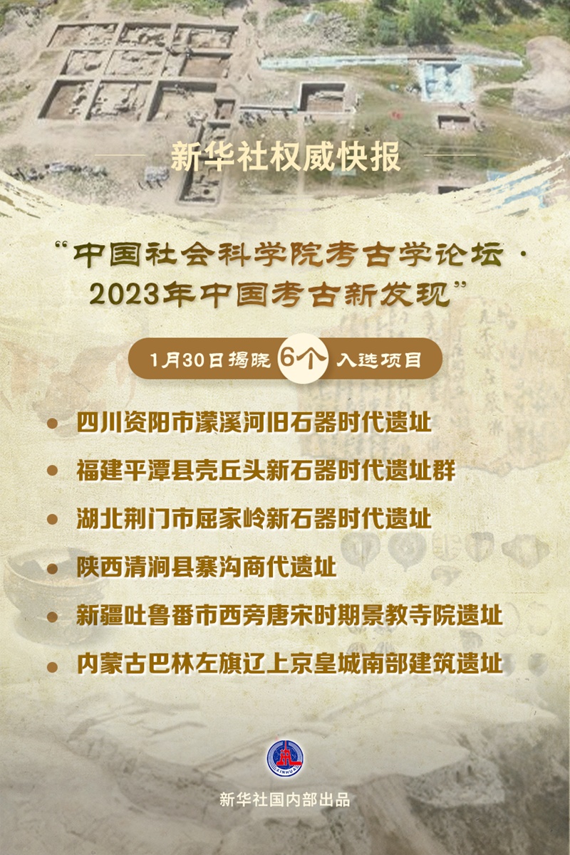 张津化2023年绽放新篇章，喜讯连连！