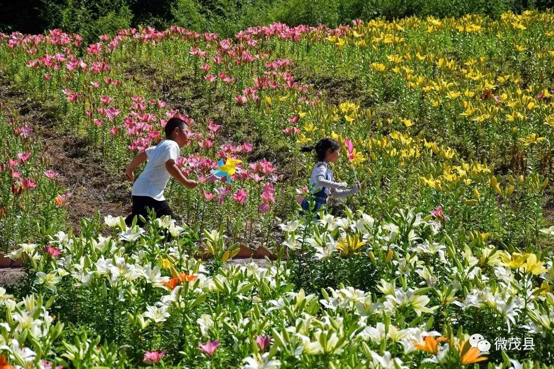 茂县至北川实时路况信息