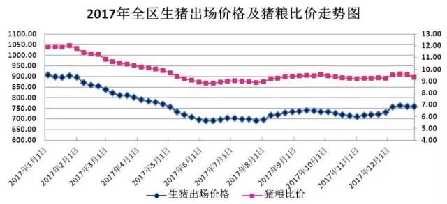 生猪价格今日动态分析