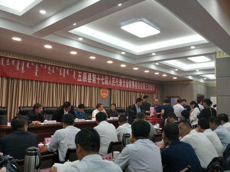 农四师最新人事变动揭晓：权威任免信息速览